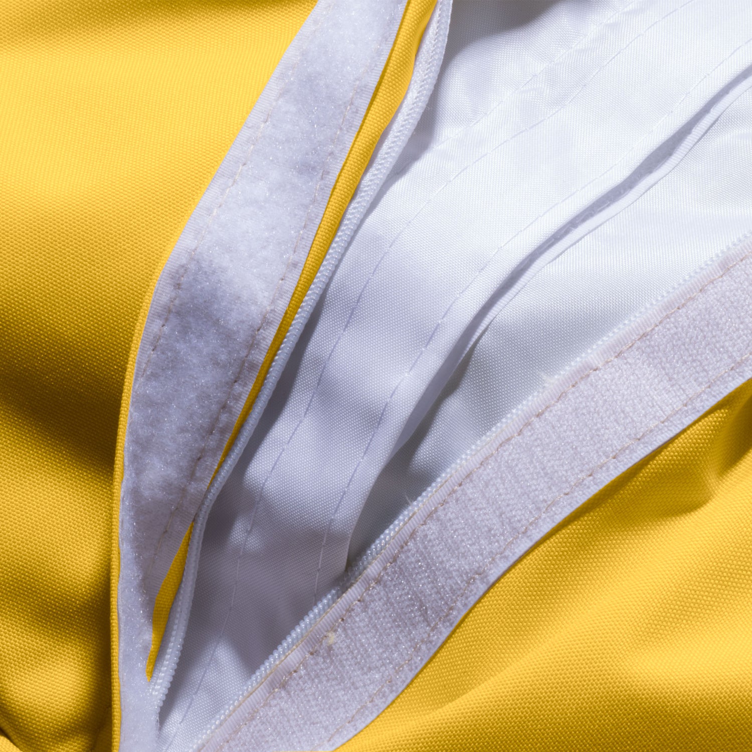 Regala momenti preziosi al tuo amico peloso