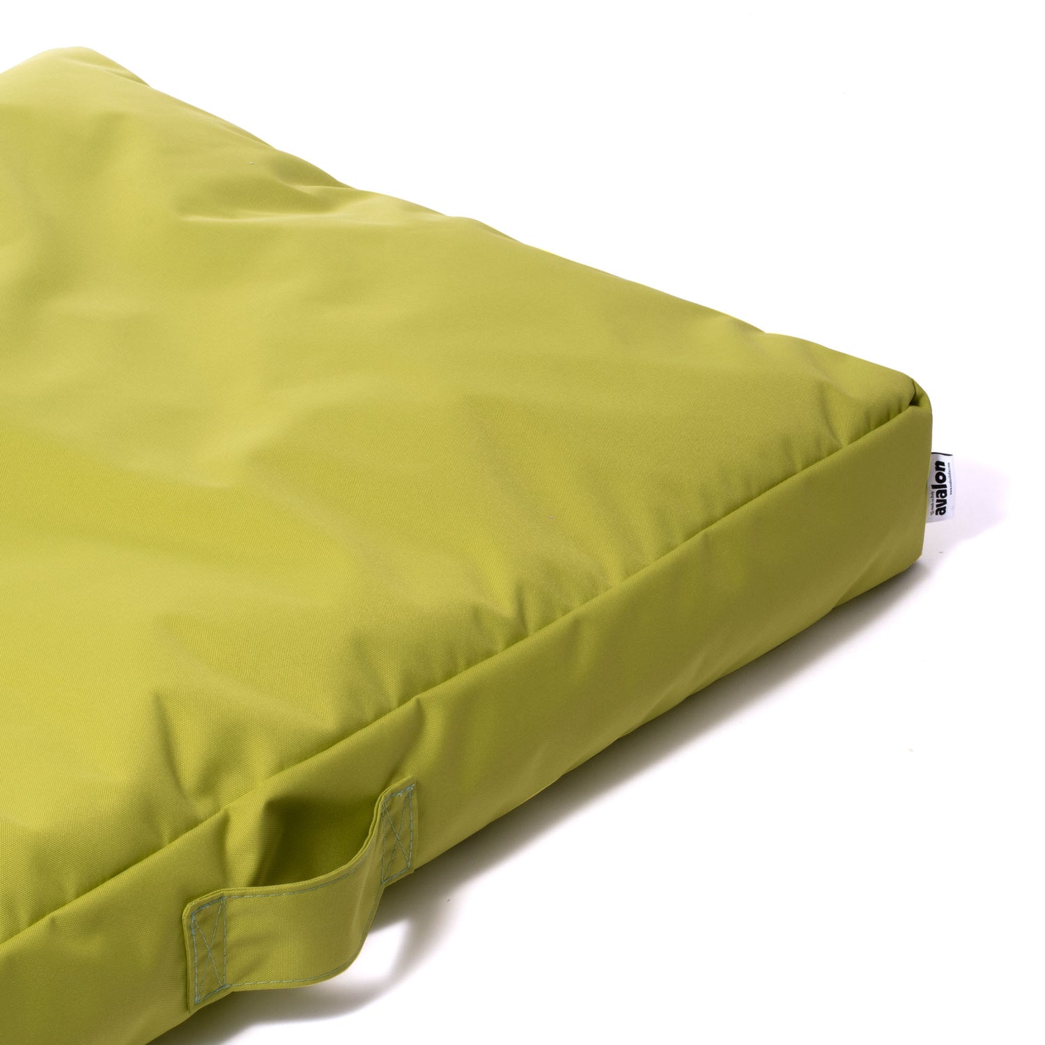 Regala momenti preziosi al tuo amico peloso